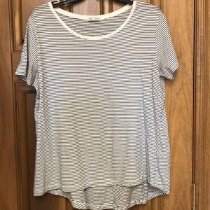 Zara collection women’s tee shirt